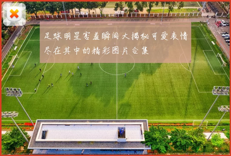 足球明星害羞瞬间大揭秘可爱表情尽在其中的精彩图片合集