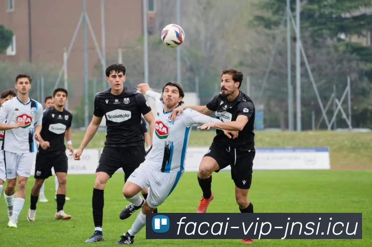 星空体育服务体系