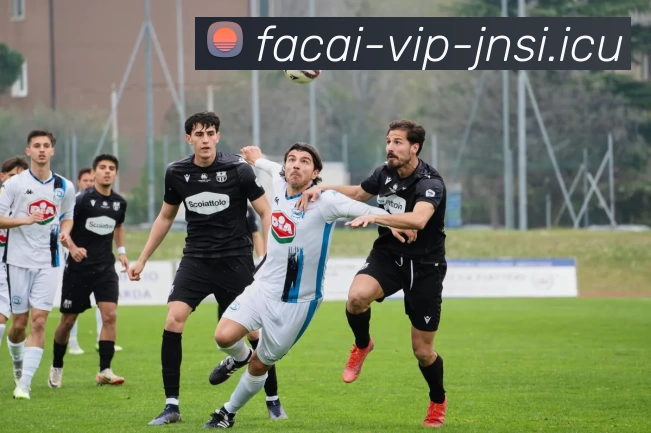 星空体育APP 体育赛事宣传图